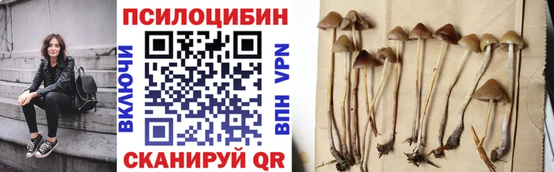 Галлюциногенные грибы Psilocybe  мега как войти  Серпухов 