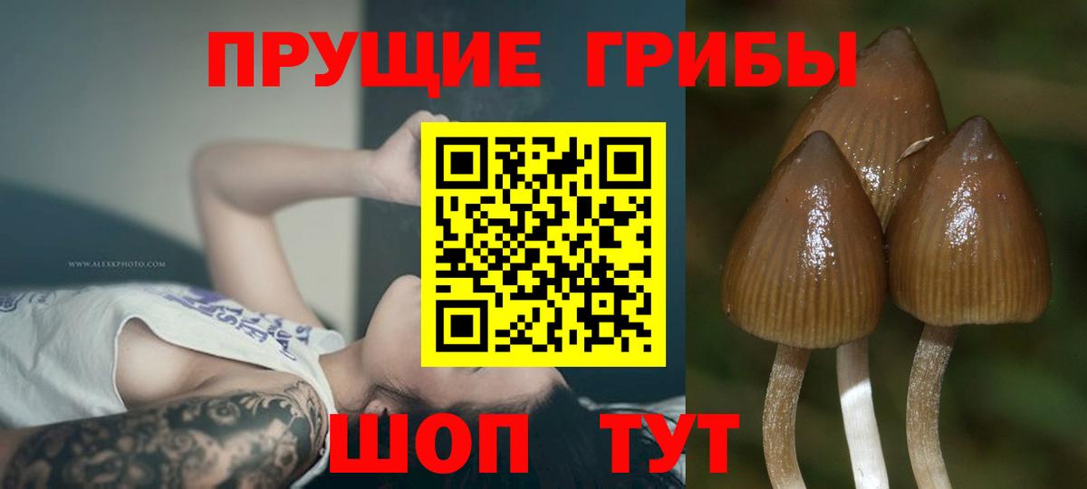 магазин    Галлюциногенные грибы ЛСД  Вход с VPN  Серпухов 